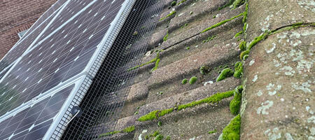 Pigeon Proofing in Long Eaton