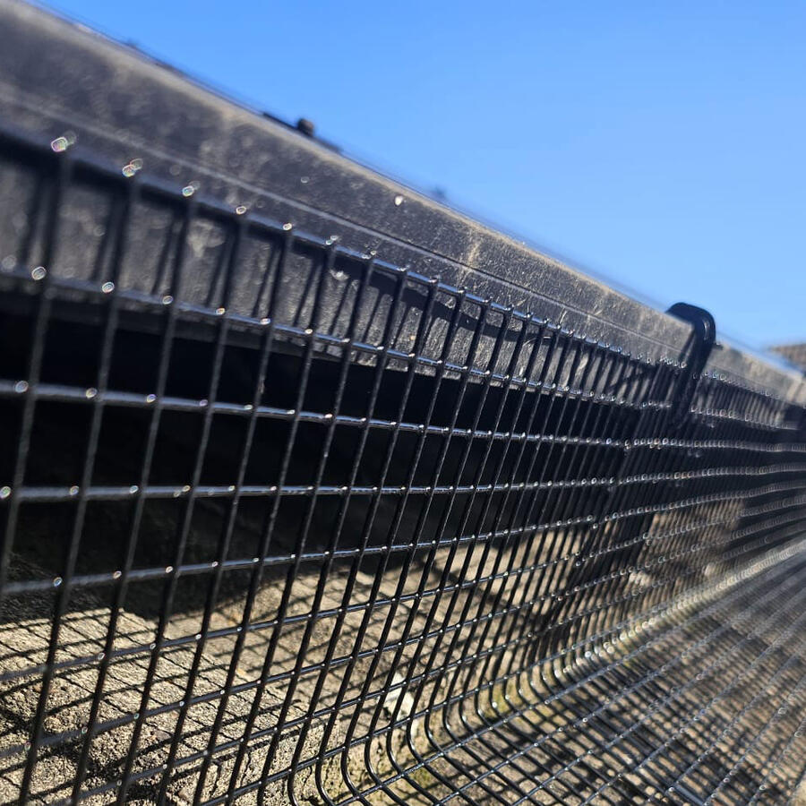 In Long Eaton to Protect Solar Panels From Pigeons