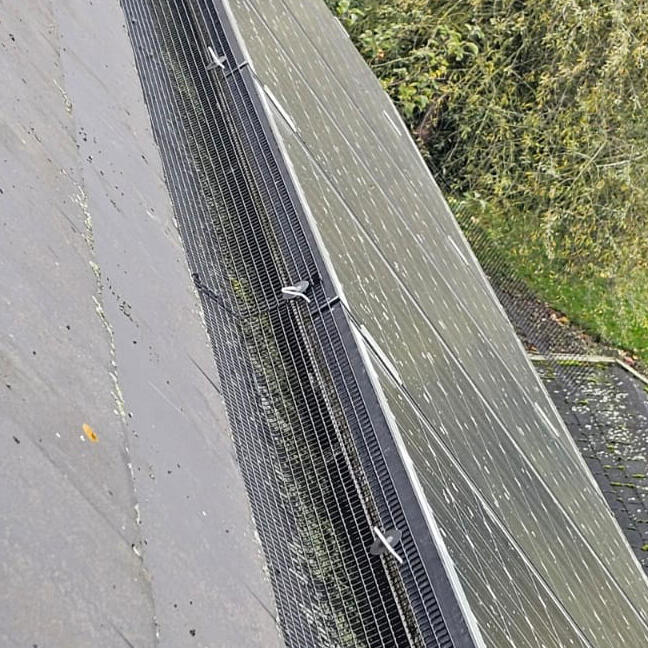 Protecting Solar Panels From Pigeons in Lowdham