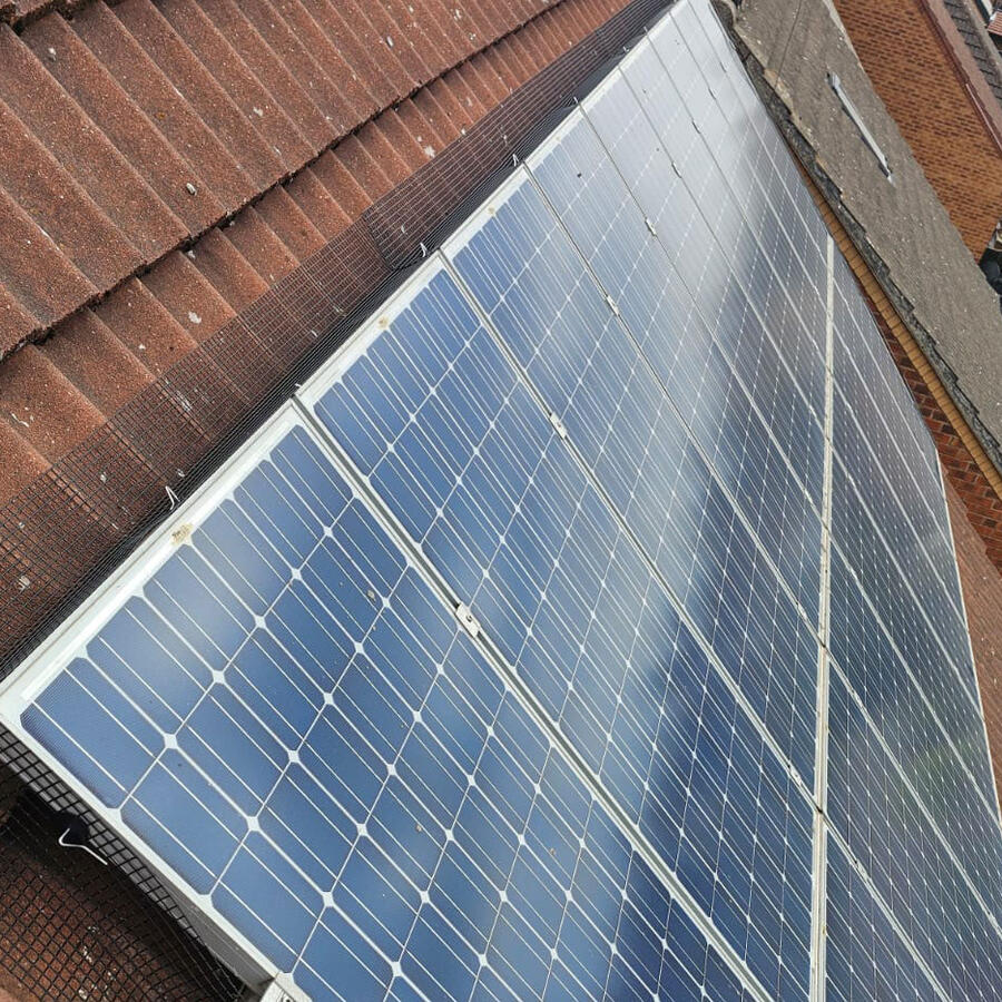 Solar Panels Protected From Pigeons in Mansfield