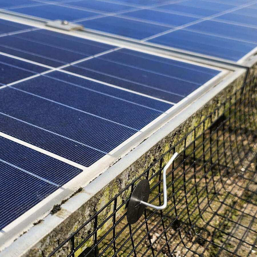Protecting Solar Panels From Pigeons in Mansfield