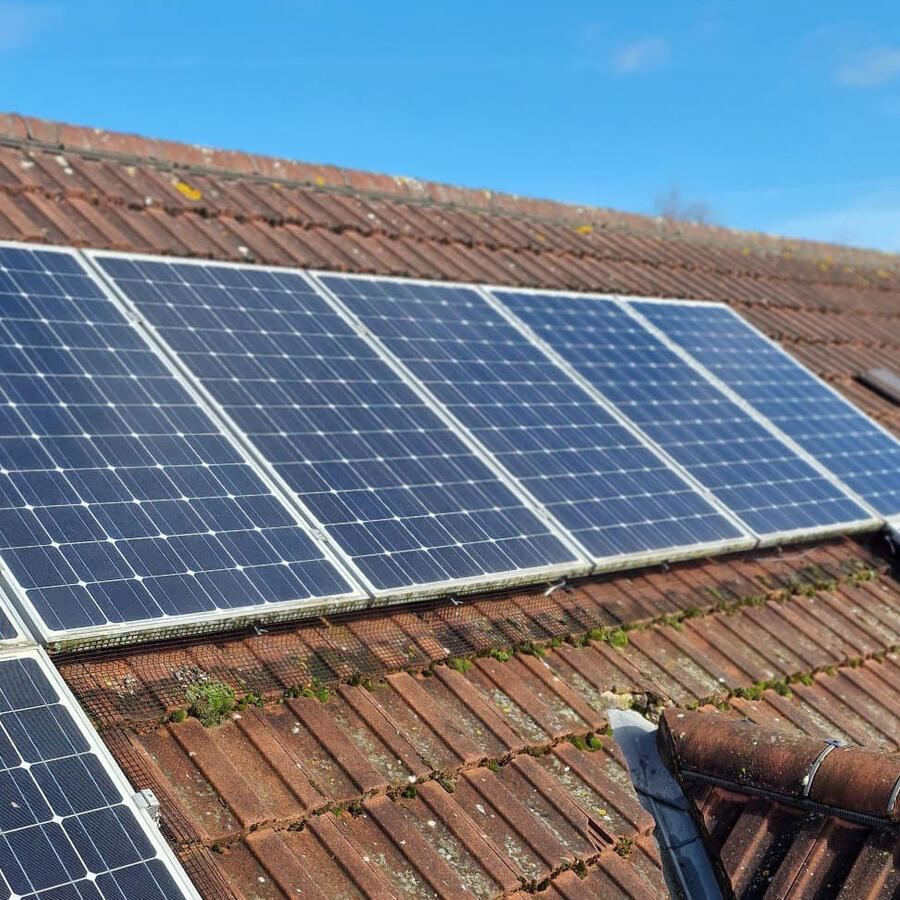 Pigeons Under Solar Panels in Mansfield