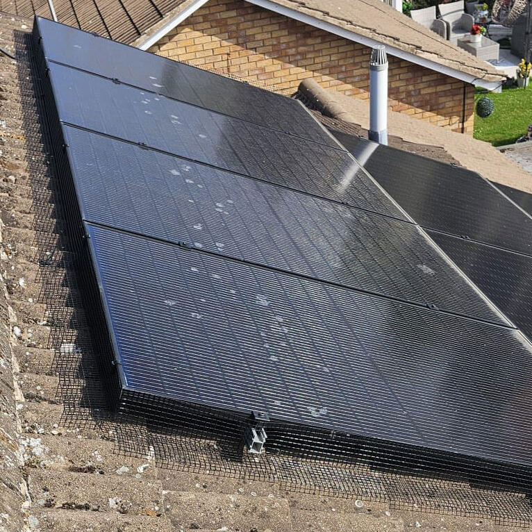 Protecting Solar Panels From Pigeons in Narborough