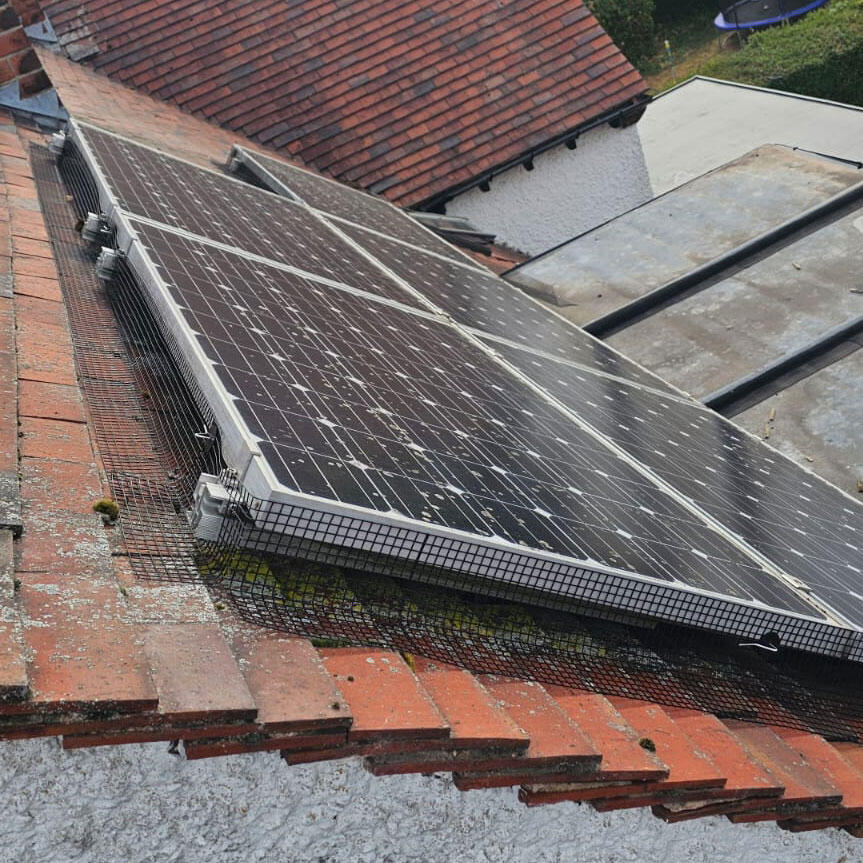 Preventing Pigeons From Nesting Under Solar Panels in Nuthall