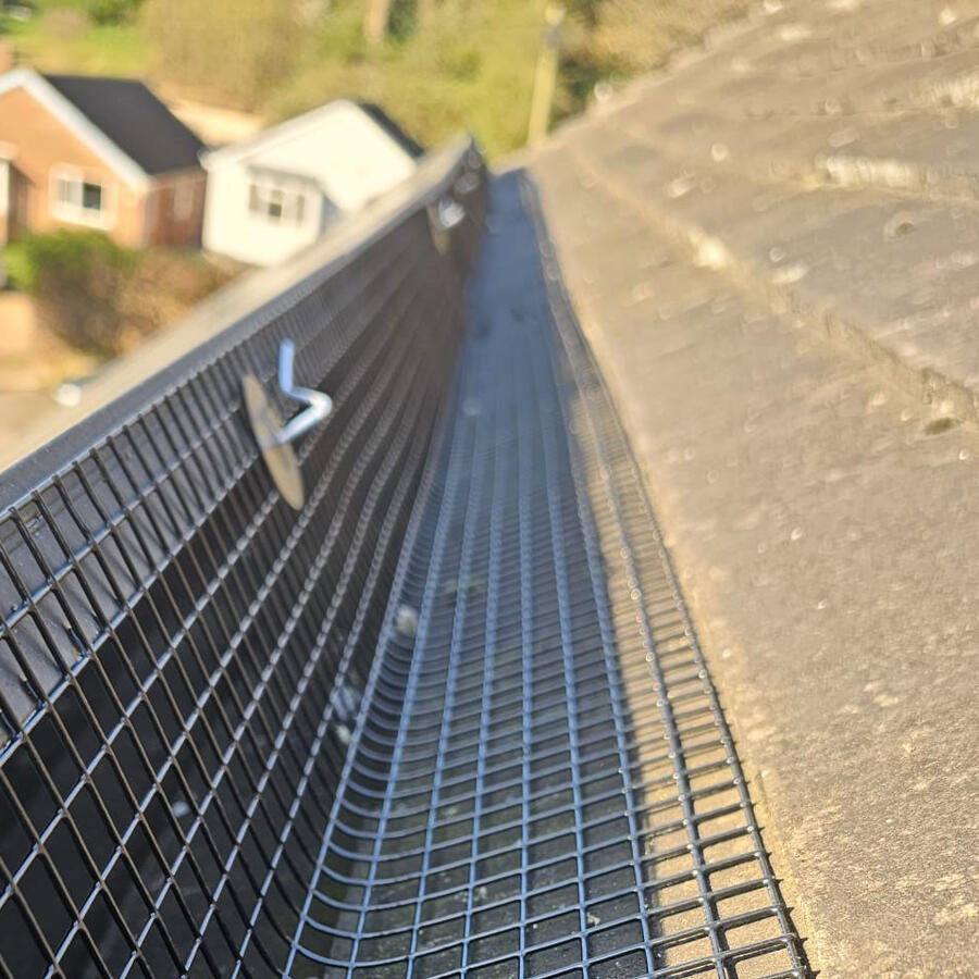 Protecting Solar Panels From Pigeons In Oakdale