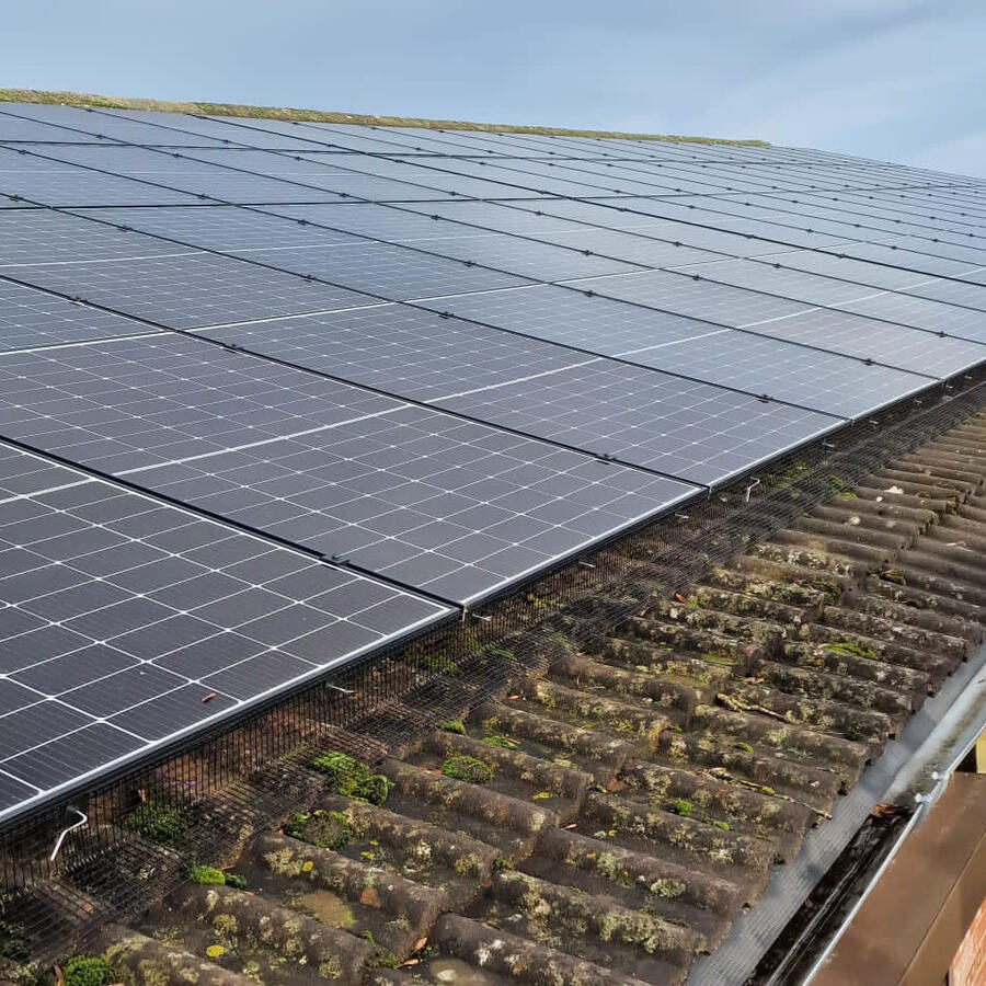 Protecting Solar Panels from Pigeons in Oakham