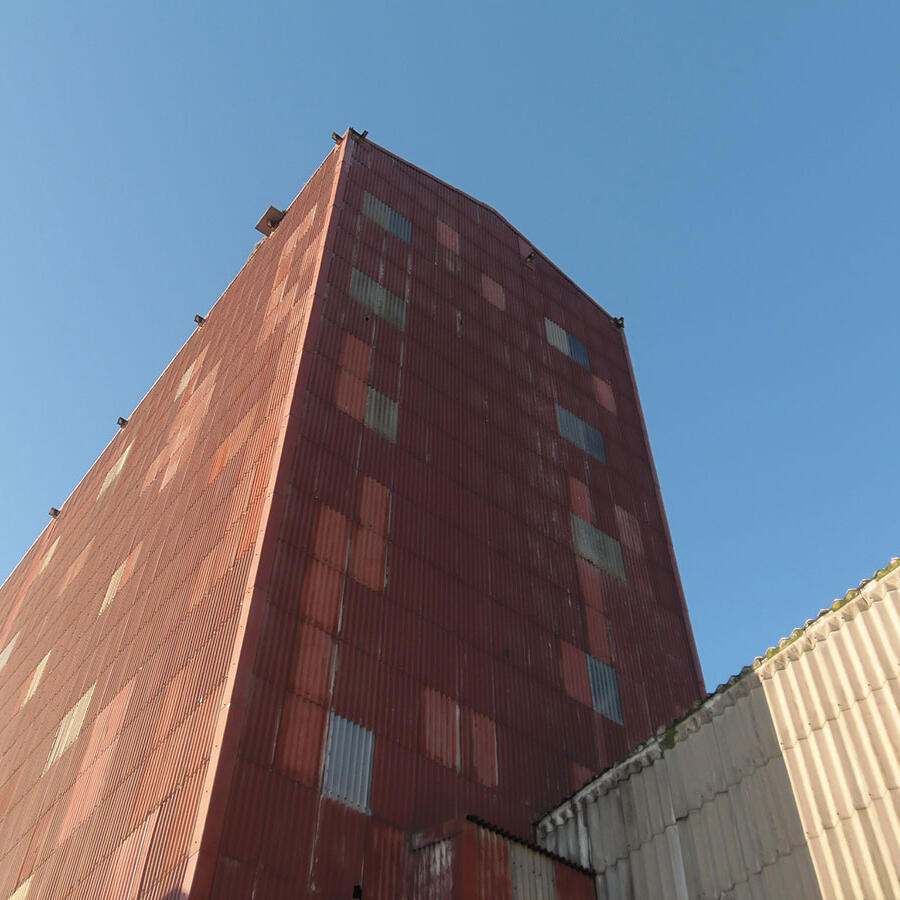 Netting to Prevent Peregrine Nesting