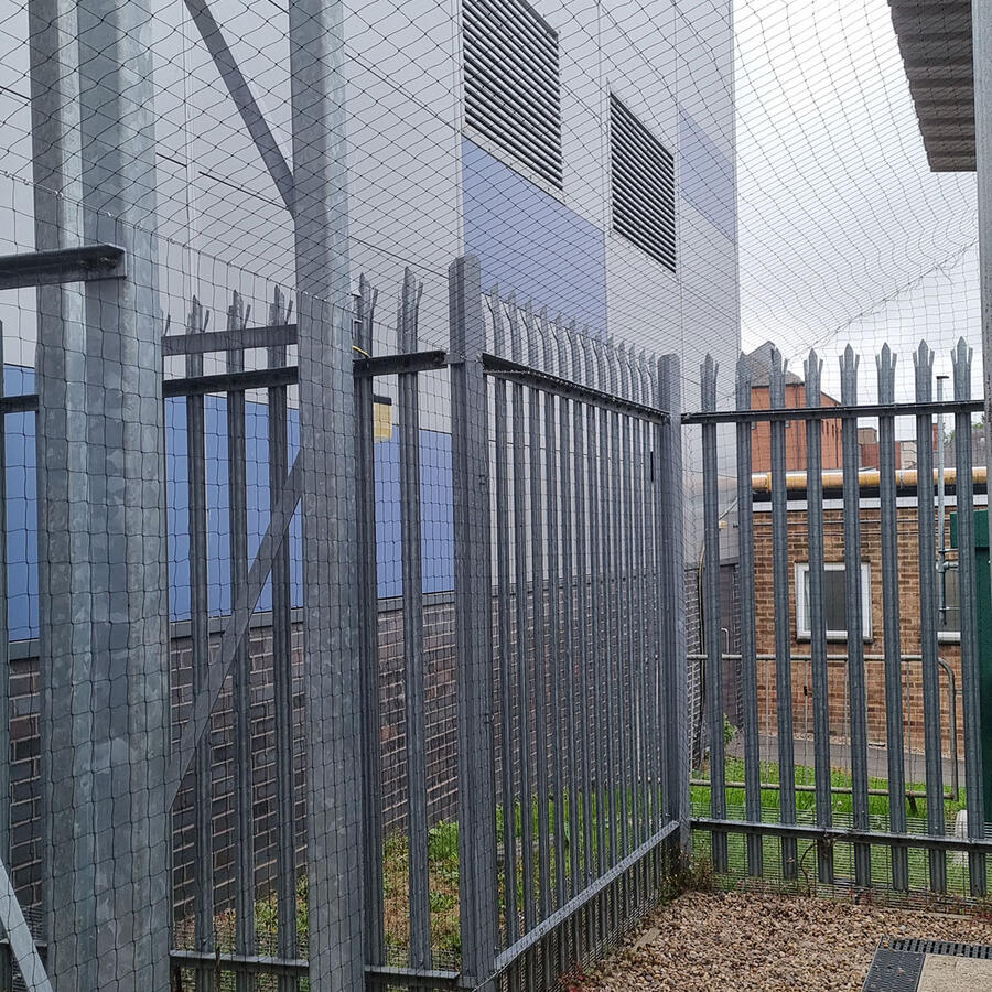 Pigeon Netting at Nottingham City Hospital