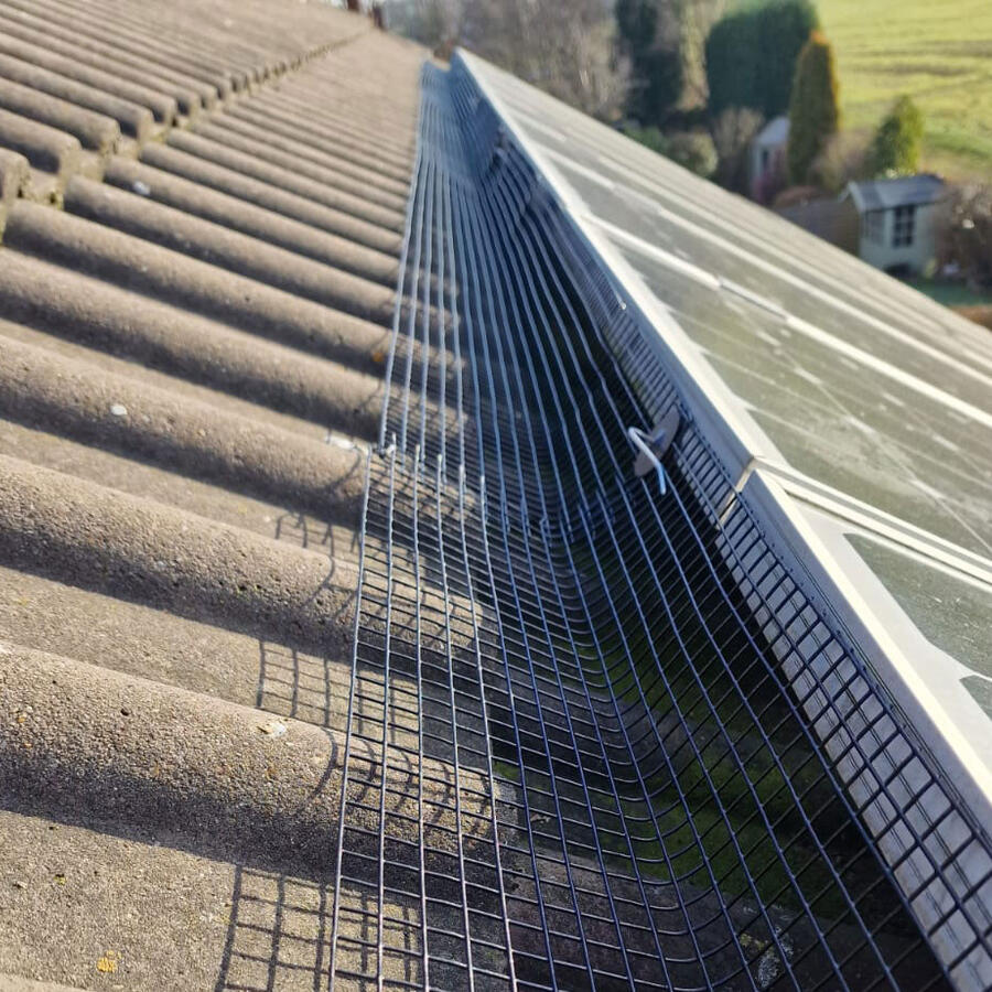 Solar Panel Pigeon Protection in Saxondale