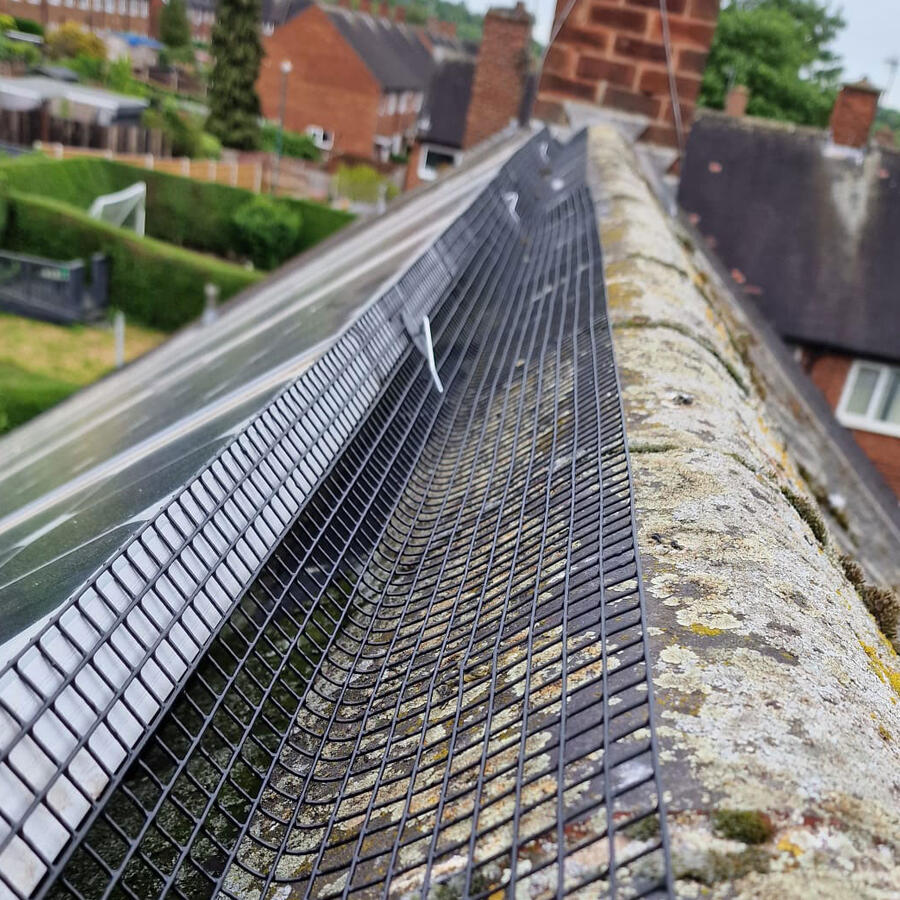 Pigeons under Solar Panels in Clifton