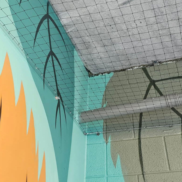 Pigeon Prevention Measures in a Public Space