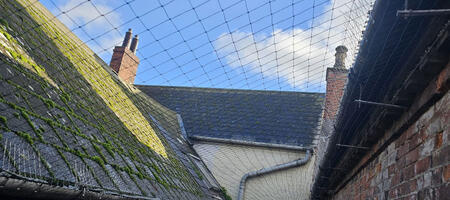 Pigeon Netting Installed in Retford