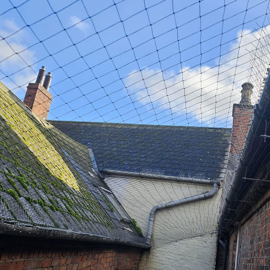 Pigeon Netting Installed in Retford