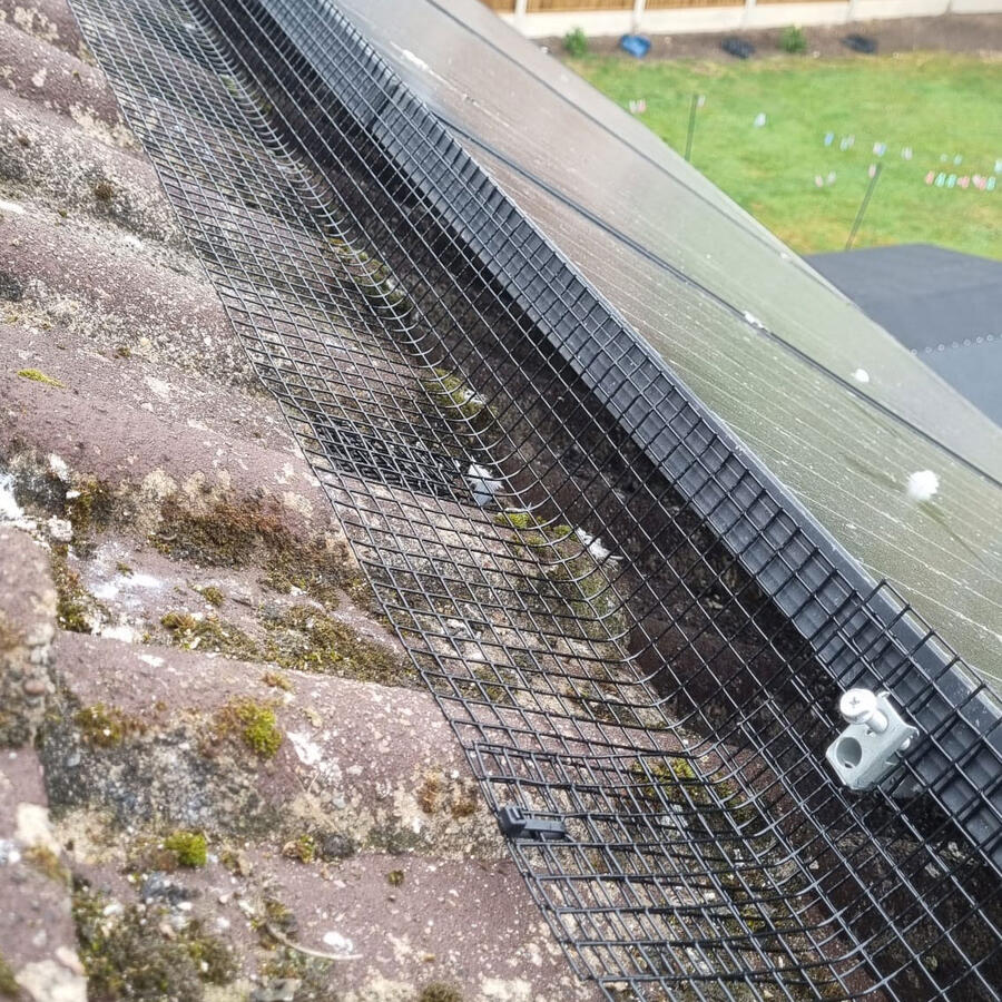 Solar Panel Pigeon Proofing in Rise Park