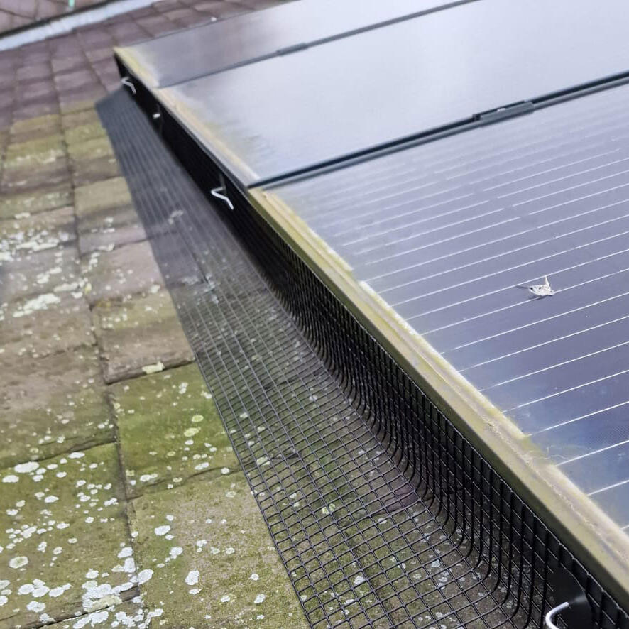Pigeon Proofing Solar Panels in Sawley
