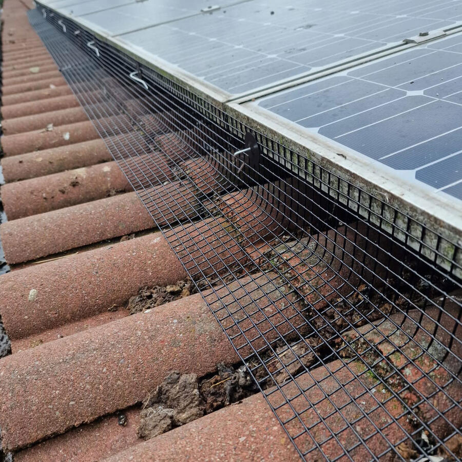 Pigeon Proofing Solar Panels in Bilborough