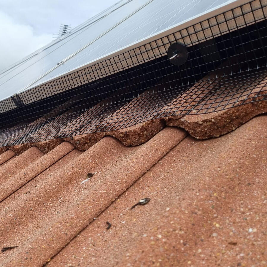 Pigeon Proofing Solar Panels in Bingham