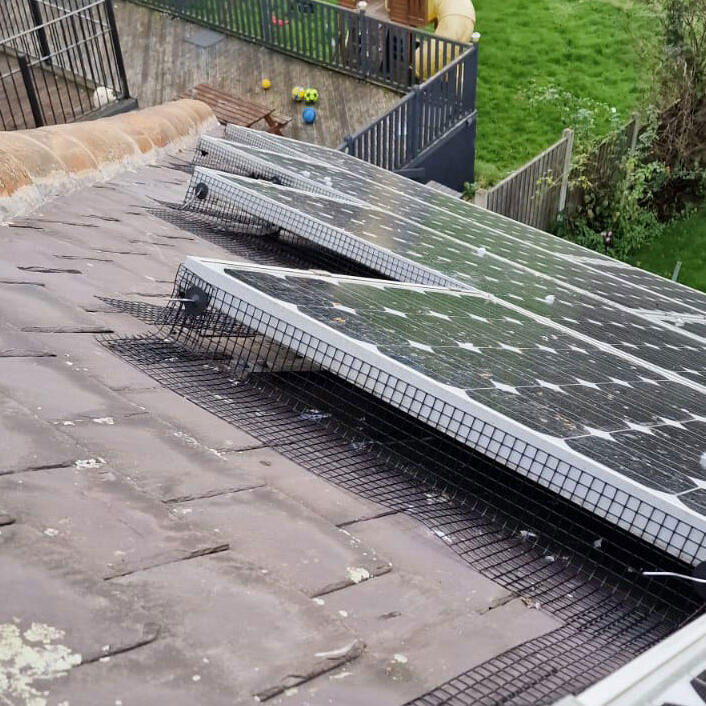 Pigeon Proofing Solar Panels in Carlton