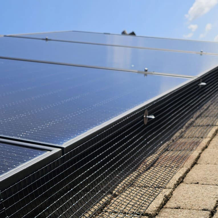Pigeon Proofing Solar Panels in East Leake