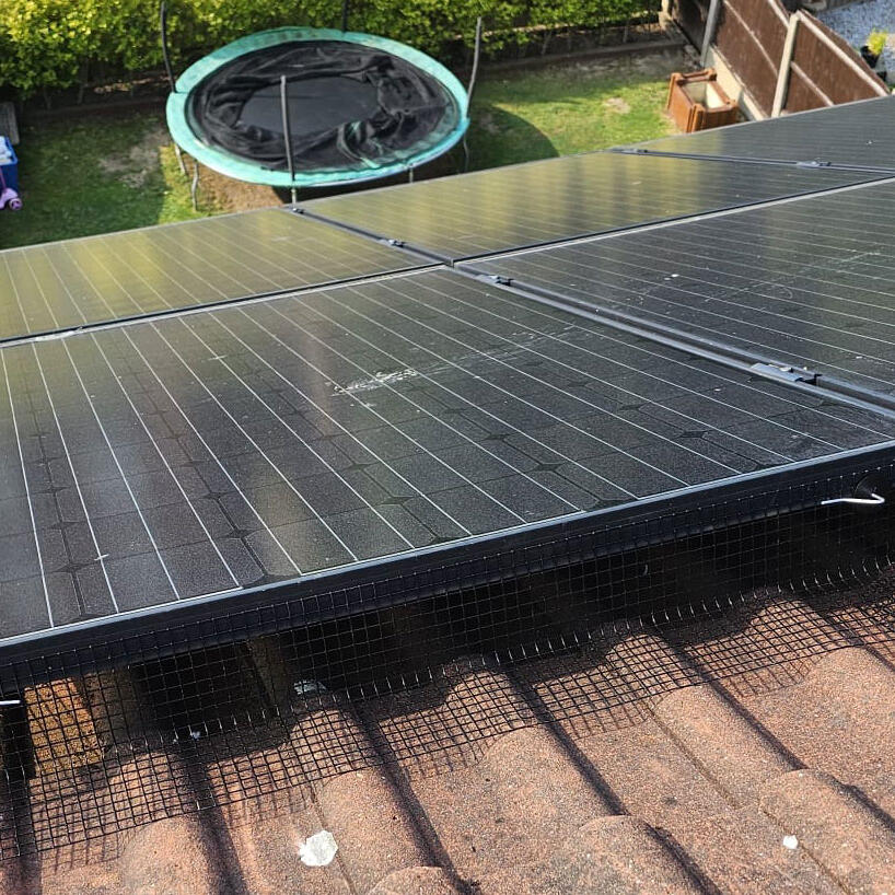 Protecting Solar Panels From Pigeons in Huthwaite