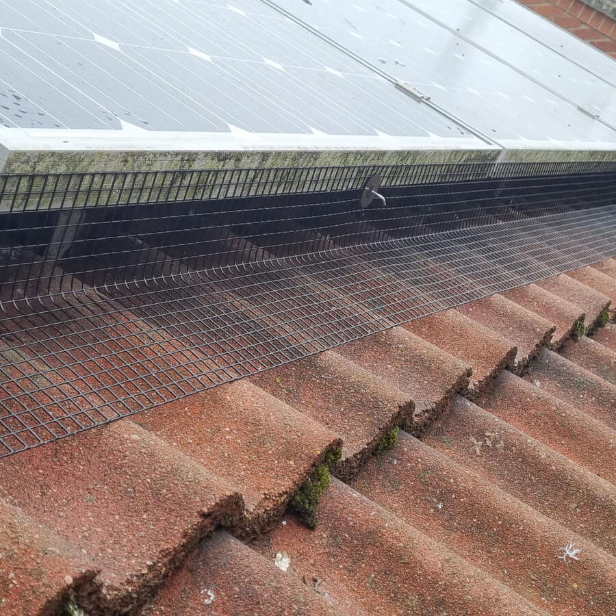 Pigeon Proofing Solar Panels in Leicester