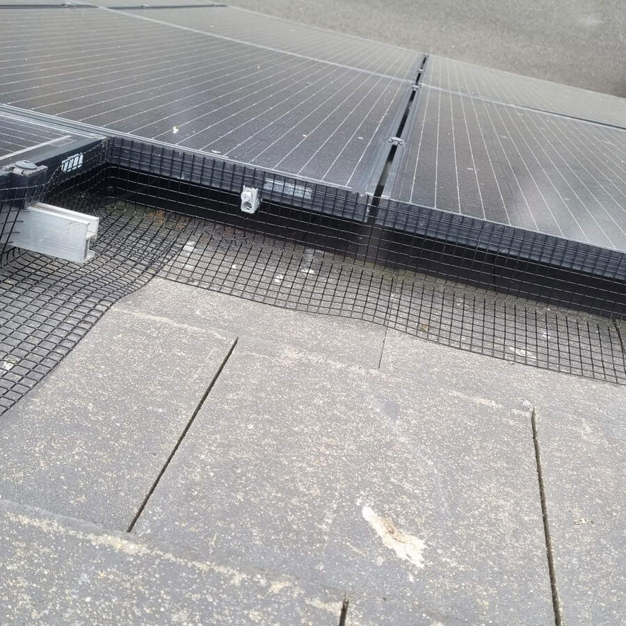 Pigeon Proofing Solar Panels in Mansfield Woodhouse