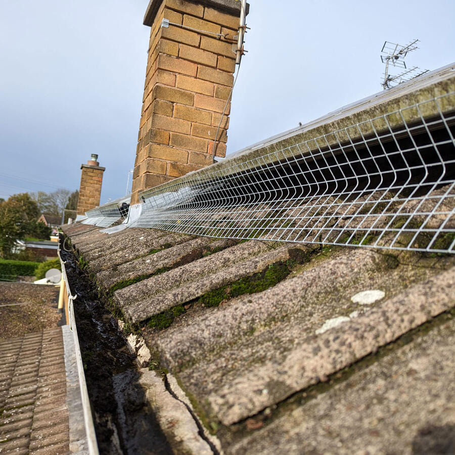 Pigeon Proofing Solar Panels in Silverdale