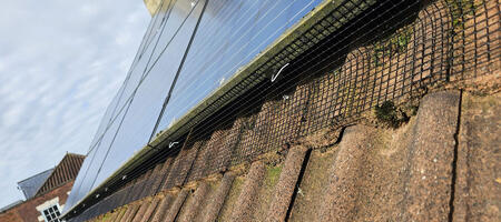 Pigeon Proofing Solar Panels in Southwell