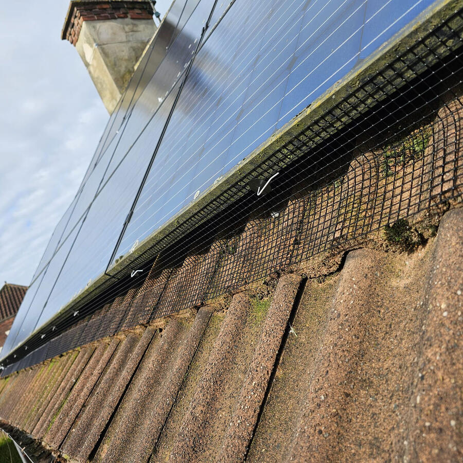Pigeon Proofing Solar Panels in Southwell