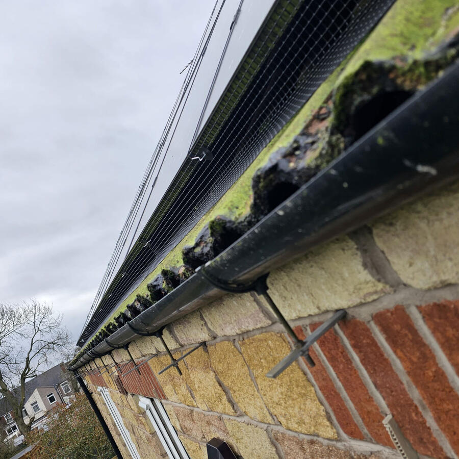 Pigeon Proofing Solar Panels in Sutton-in-Ashfield