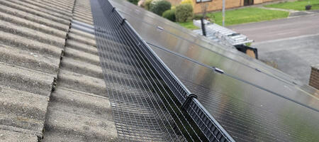 Pigeon Proofing Solar Panels in Toton