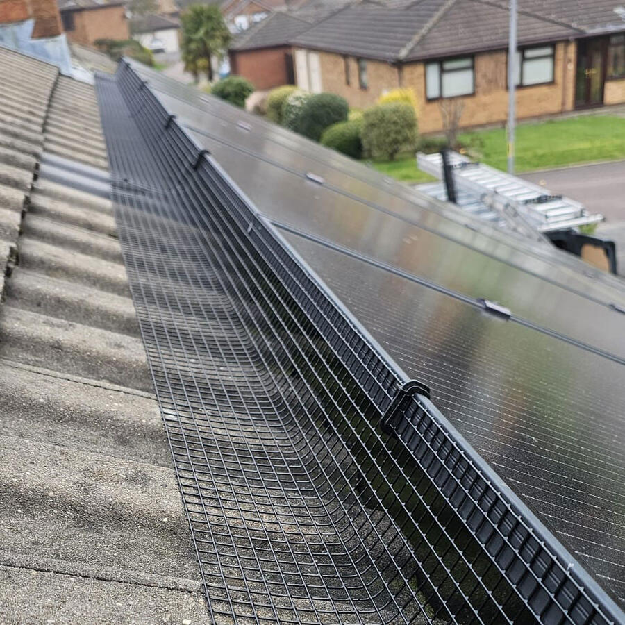 Pigeon Proofing Solar Panels in Toton