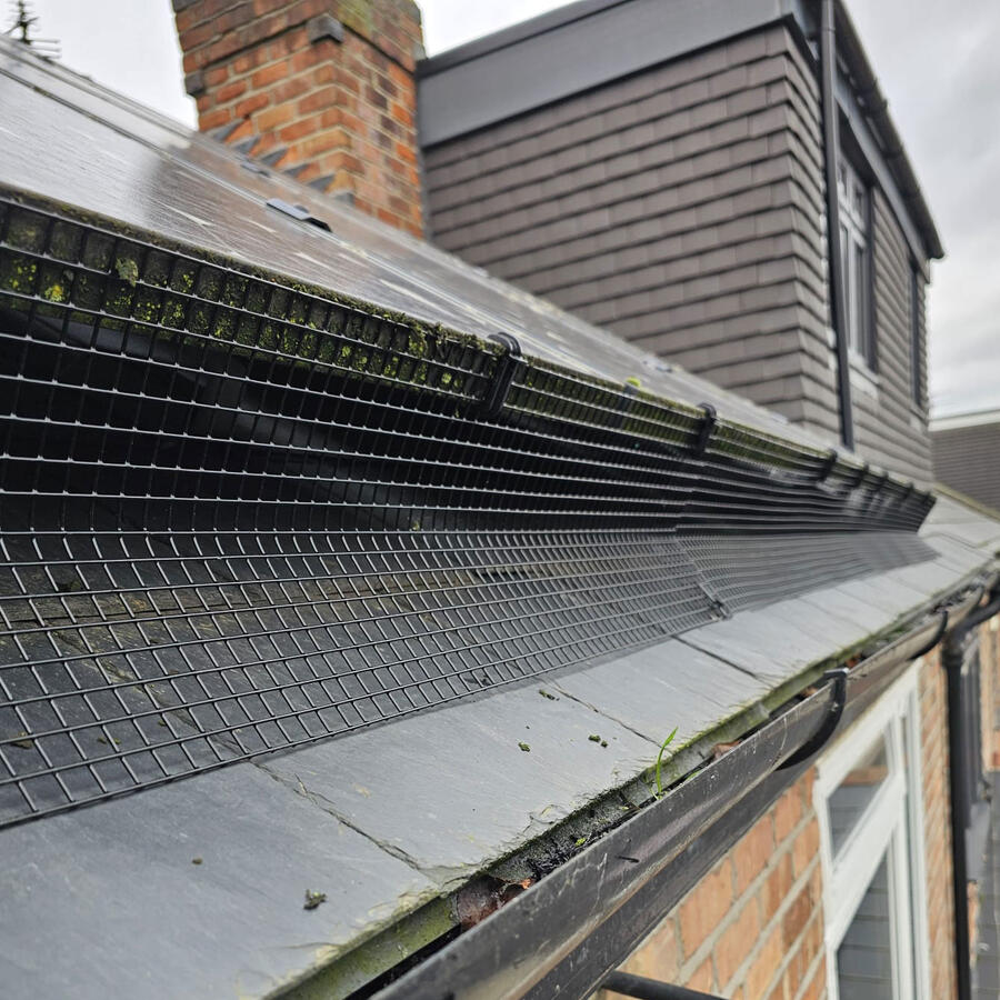 Pigeon Proofing Solar Panels in West Bridgford