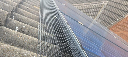 Protecting Solar Panels From Pigeons in Mansfield Woodhouse
