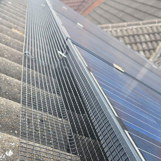 Protecting Solar Panels From Pigeons in Mansfield Woodhouse