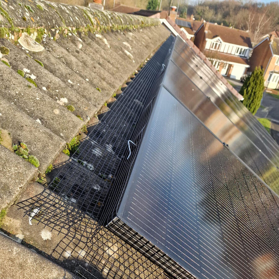 More Solar Panels Pigeon Proofed in Bramcote
