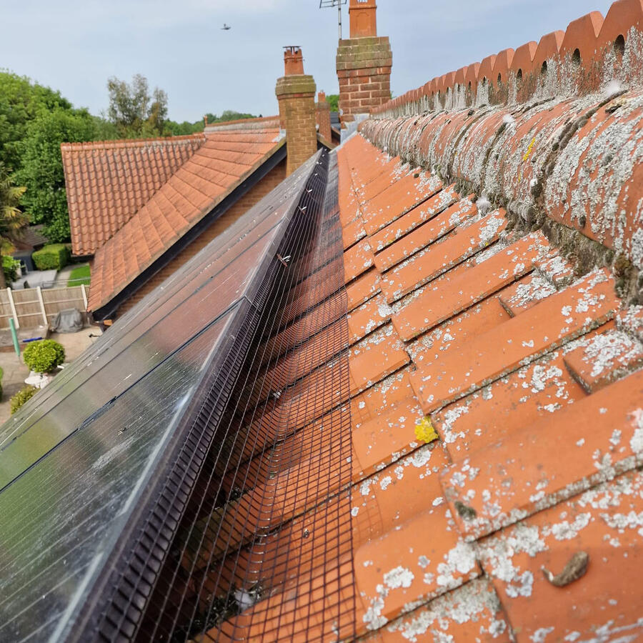 Solar Panel Mesh Installed in Mapperley
