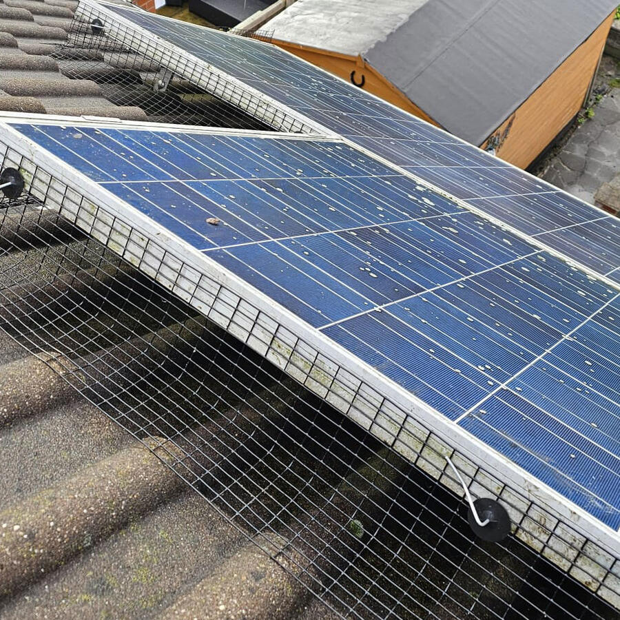 Solar Panels Pigeon-proofed in Wollaton