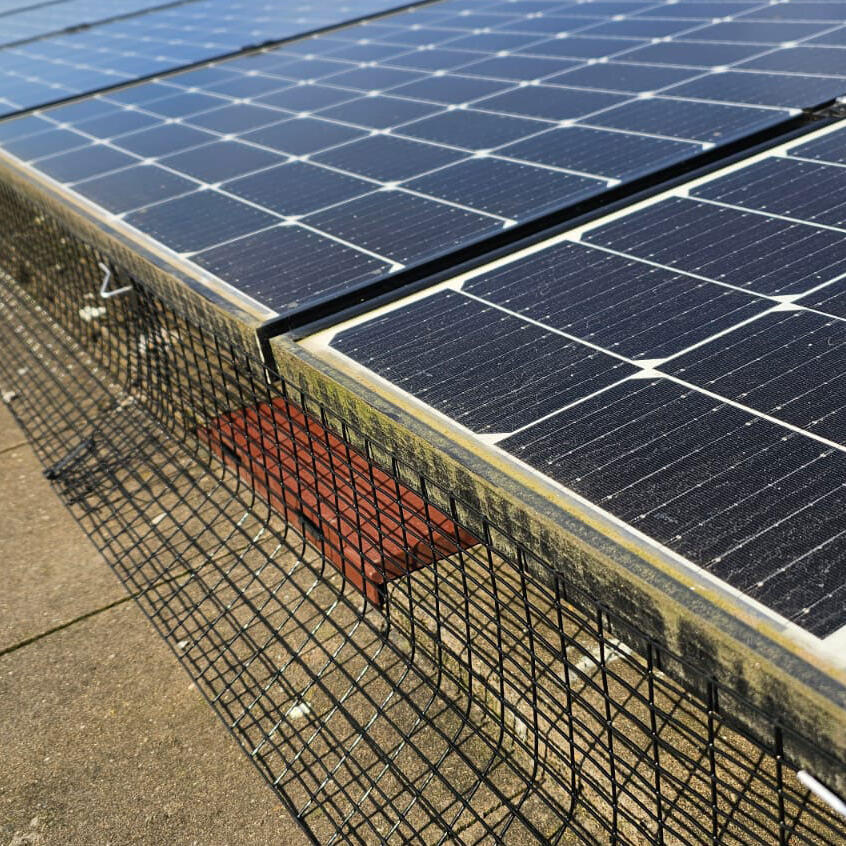 Installing Solar Panel Protection in Stapleford
