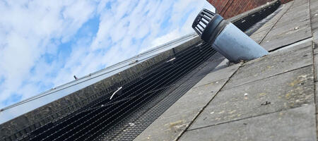 Pigeon Proofing Solar Panels in Beeston