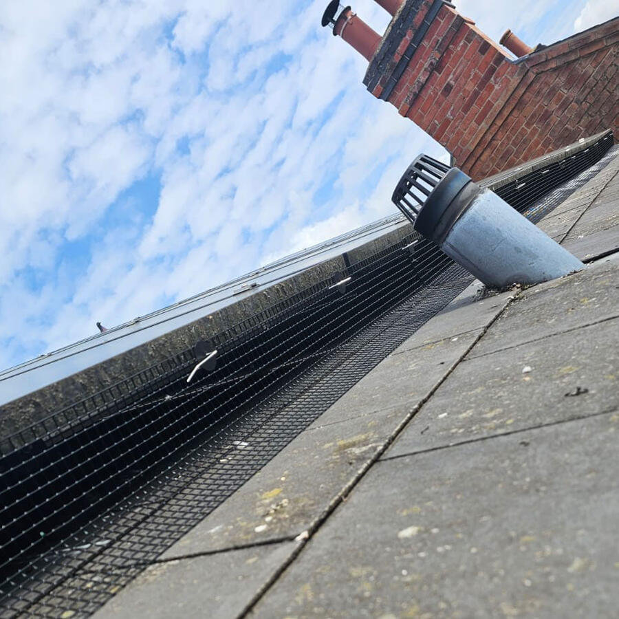 Pigeon Proofing Solar Panels in Beeston