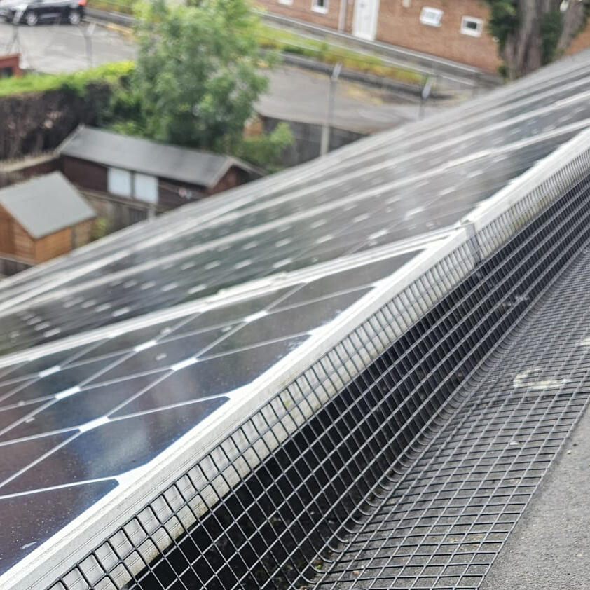 Protecting Solar Panels From Pigeons in Beeston