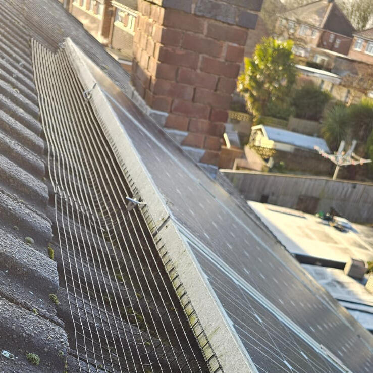 Pigeon Proofing Solar Panels in Hucknall