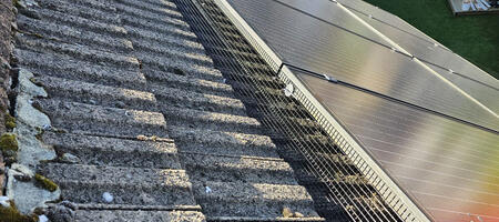 Protecting Solar Panels from Pigeons in Kimberley