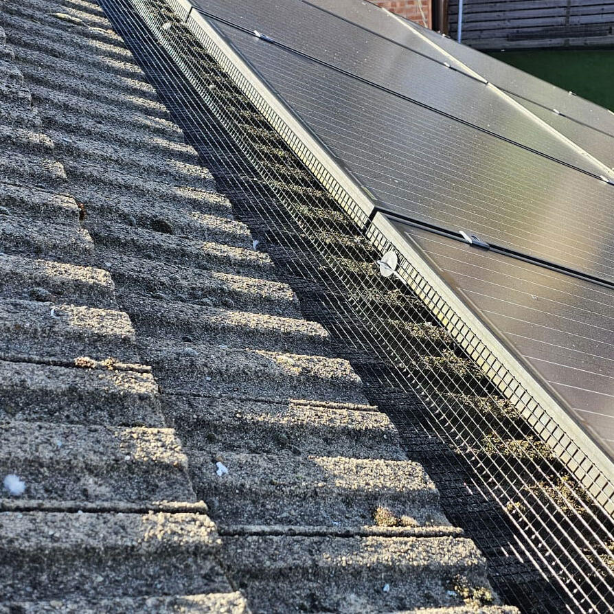 Protecting Solar Panels from Pigeons in Kimberley
