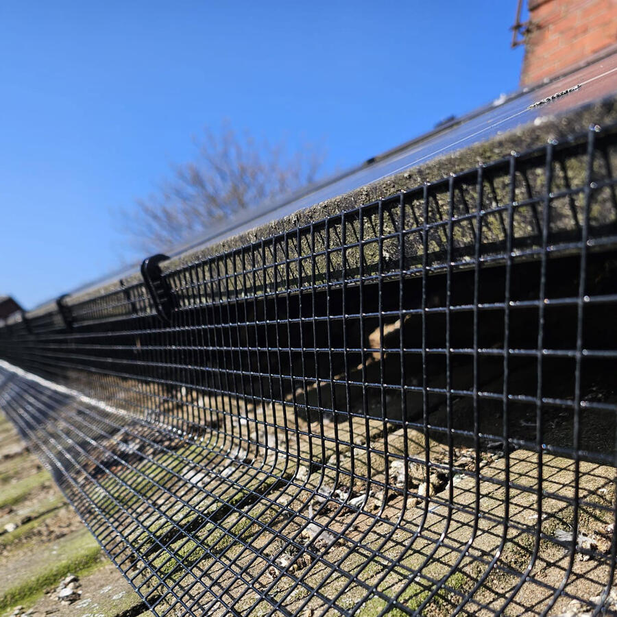 Preventing Pigeons From Nesting Under Solar Panels in Mapperley