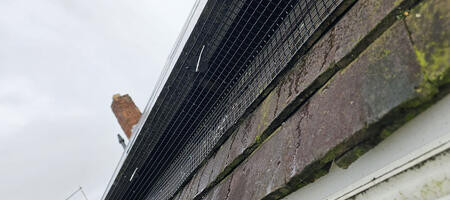 Pigeon Proofing Solar Panels in Sheffield