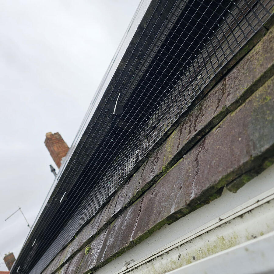 Pigeon Proofing Solar Panels in Sheffield