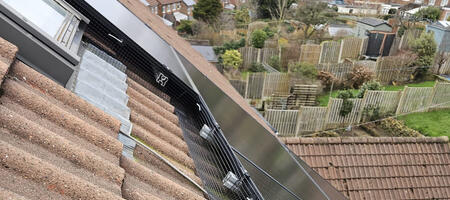 Pigeon Proofing Solar Panels in Sheffield