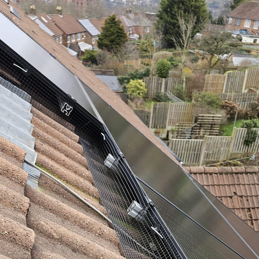 Pigeon Proofing Solar Panels in Sheffield